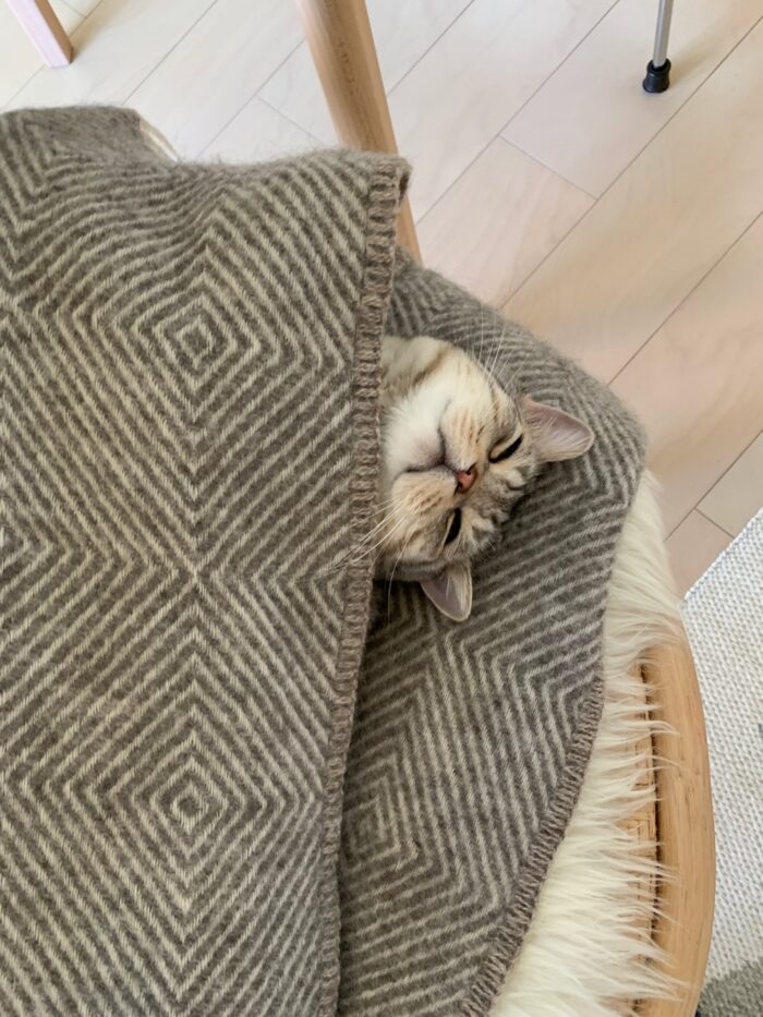 ハル ラプアンカンクリ ショール