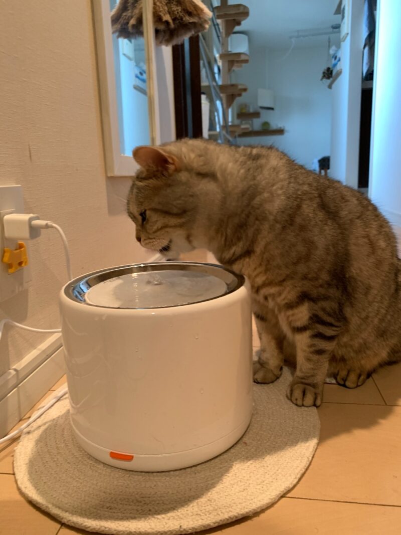petkit 猫 自動給水器 ホワイト 白