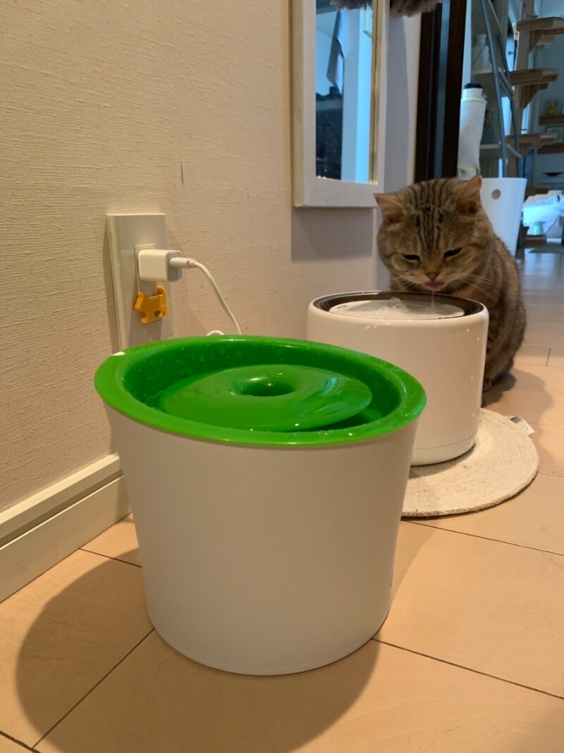 猫 自動給水器 新旧