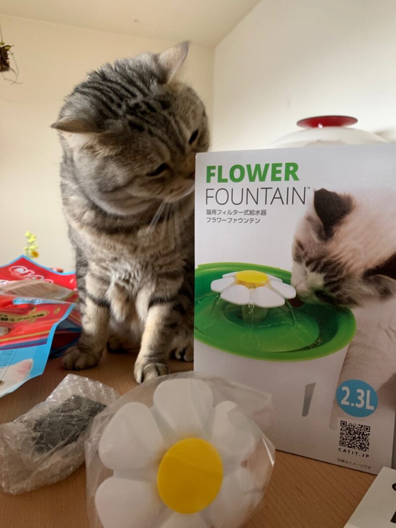 キャティット フラワーファウンテンN 猫 自動給水器