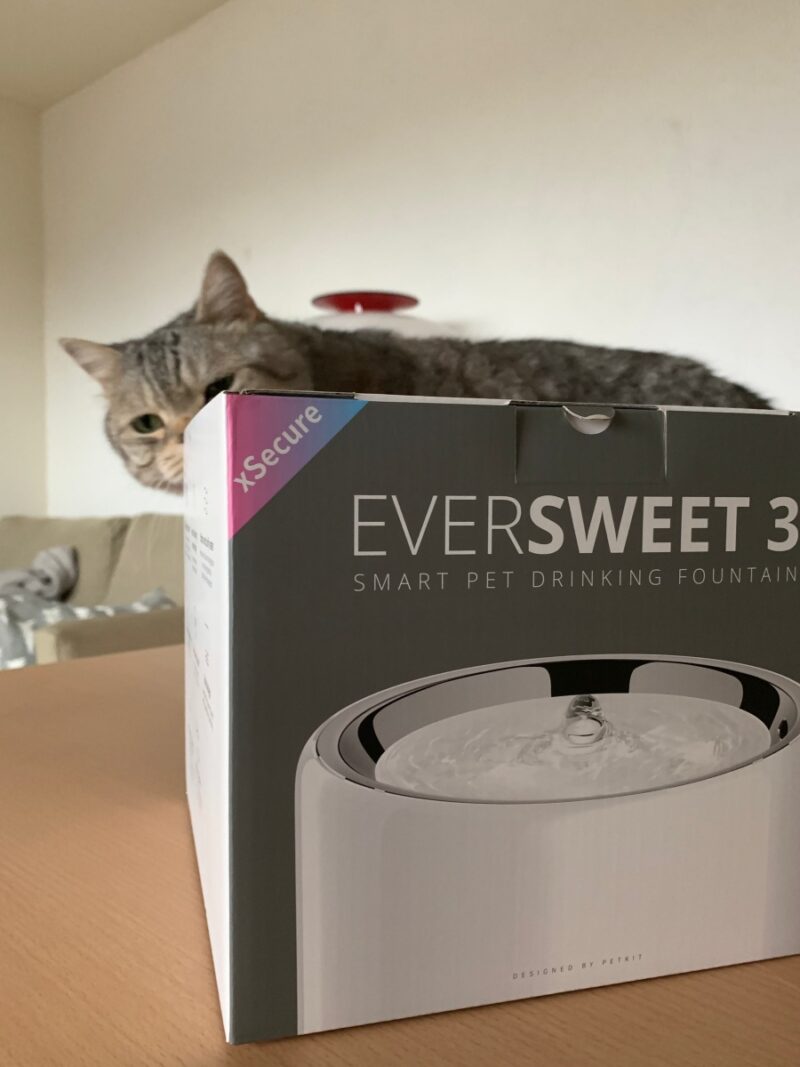 petkit 猫 自動給水器