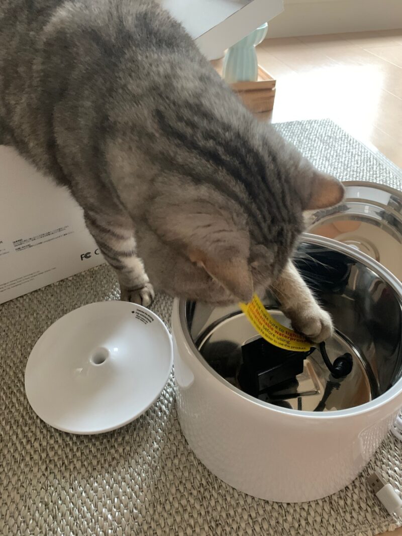 猫 自動給水器 petkit ステンレス