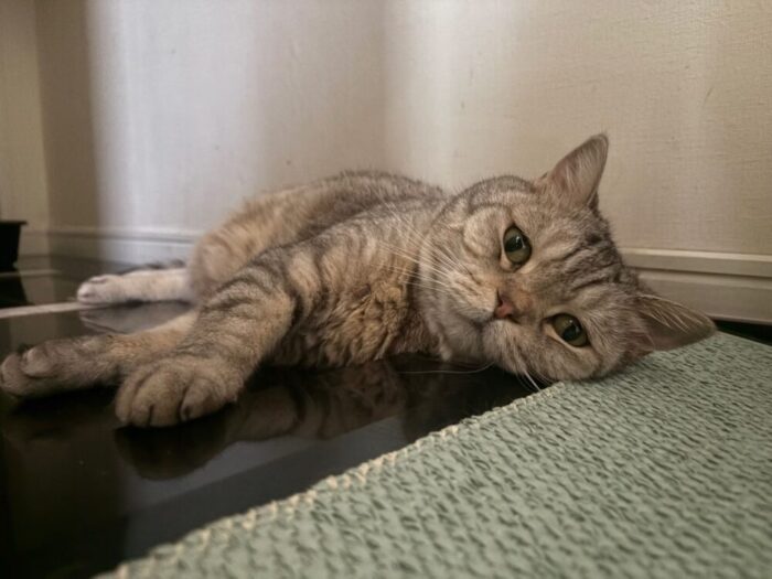 ハル