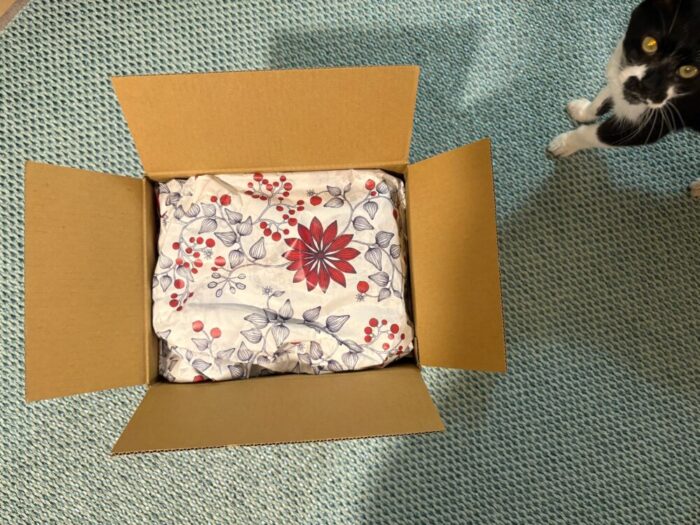 scope Ano ターコイズ [ iittala Birds by Oiva Toikka