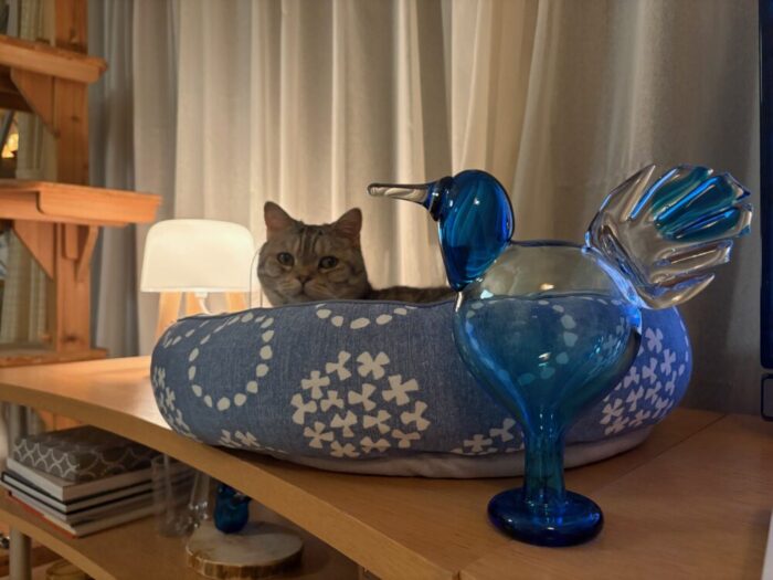 scope Ano ターコイズ [ iittala Birds by Oiva Toikka