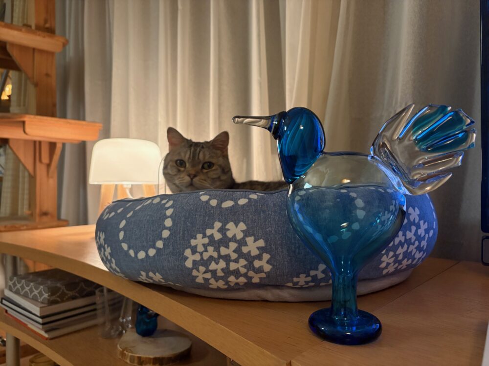 scope Ano ターコイズ [ iittala Birds by Oiva Toikka