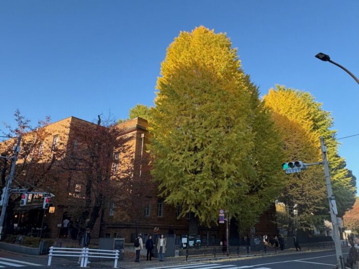 東京国立博物館（トーハク）